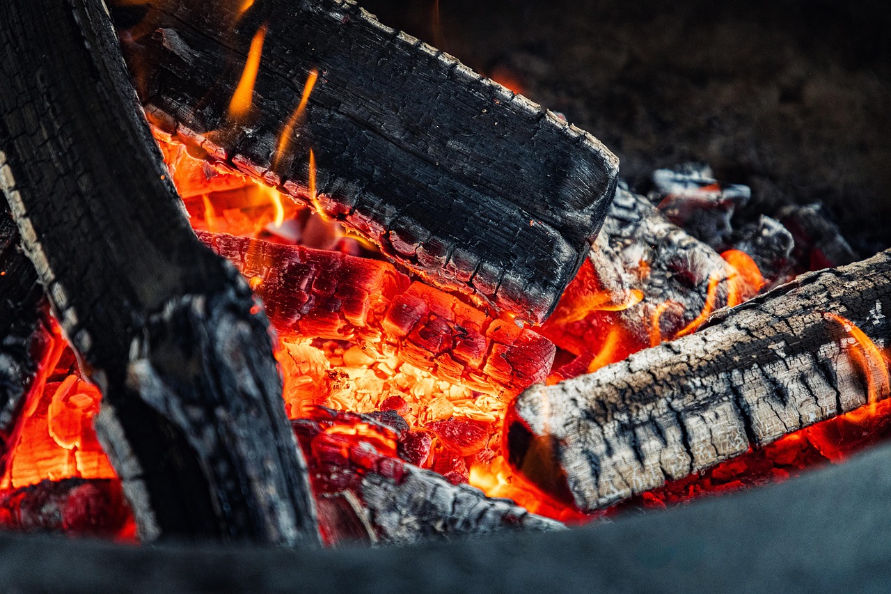 Homepage fire, hearth, campfire, wood, charred, bbq, barbecue, bbq, bbq, bbq, bbq, bbq